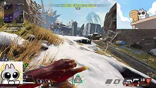 补药写论文我要apex！