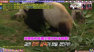 【RM-点播】点播！模式-24H欢乐不断