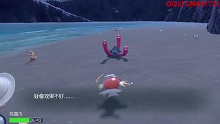 小精灵世界联盟-圣龙