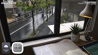 重生之奋发涂墙