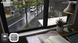 重生之奋发涂墙