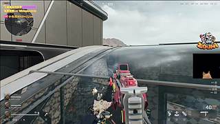 【小白鸽】睡了个午觉 睡到了九点！