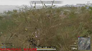 纪念这个站业业已的多巴胺