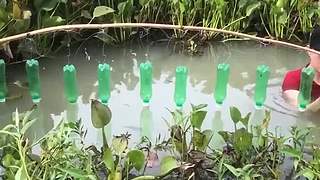 来看越南美女哦