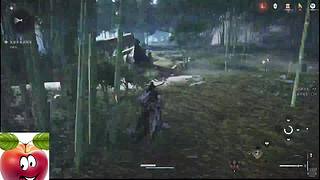 主播求关注 446880