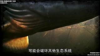 贝爷纪录片 点播，点播单，在鱼吧置顶！