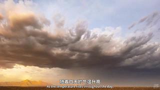 [大自然纪录片]24小时轮播