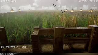 电影级画质，失眠者福音~