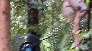 山河万里，持枪肆意笑纳！