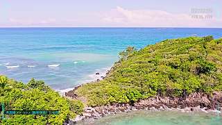 7年纯音|事务攻读助眠|AI毒舌硬核科普