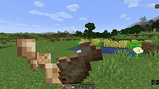 我的世界冬雪生存日记