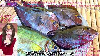 马上渡劫飞升77级，道友助我一臂之力