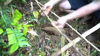 荒野求生，带大家体验不一样的生存