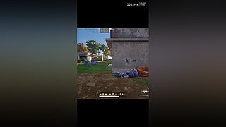 不打流水原阵容