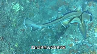 【所长来了】使用宇宙的未知