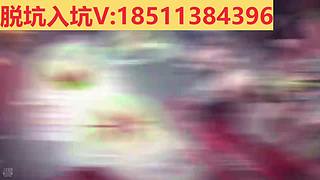 脱坑/入坑/极品号