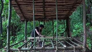 东南亚丛林生活实录