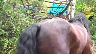 来来嗨嗨嗨
来来来