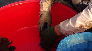 兴哥赶海的直播间