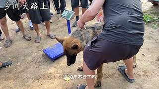 第一次开播 9827757