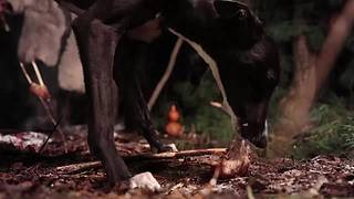 来来嗨嗨嗨
来来来