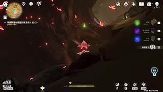 小萌新主播 11555115