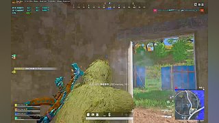 微笑vxxx的直播间