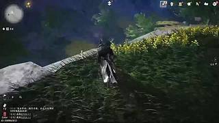 没有技术，全是感情