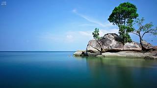 lck-LCP-GZ-SHG的直播间