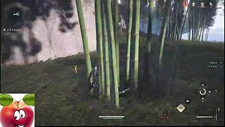 主播求关注 446880