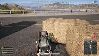 炼手：游戏自由人