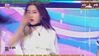 Apink十五周年1月5日回归顺利