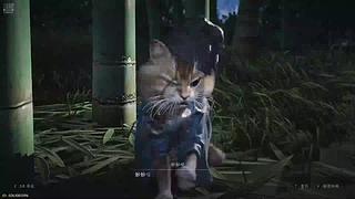 随意耍耍 也能秀的飞起