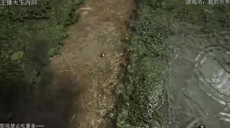 电影级画质，失眠者福音~