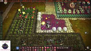 新年好~一个有点技术的娱乐选手。