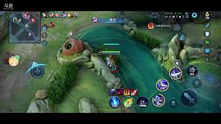 快来看王者小菜鸡