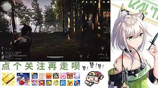 在下林凡，请指教！