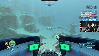 CFPLS27白鲨加油!