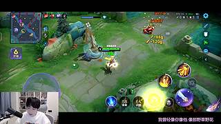 Gemini：我是巅峰赛大手子