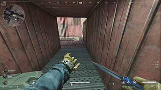 我和Apex永远等着小驴鹅回来