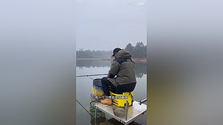 亮gnailux的直播间