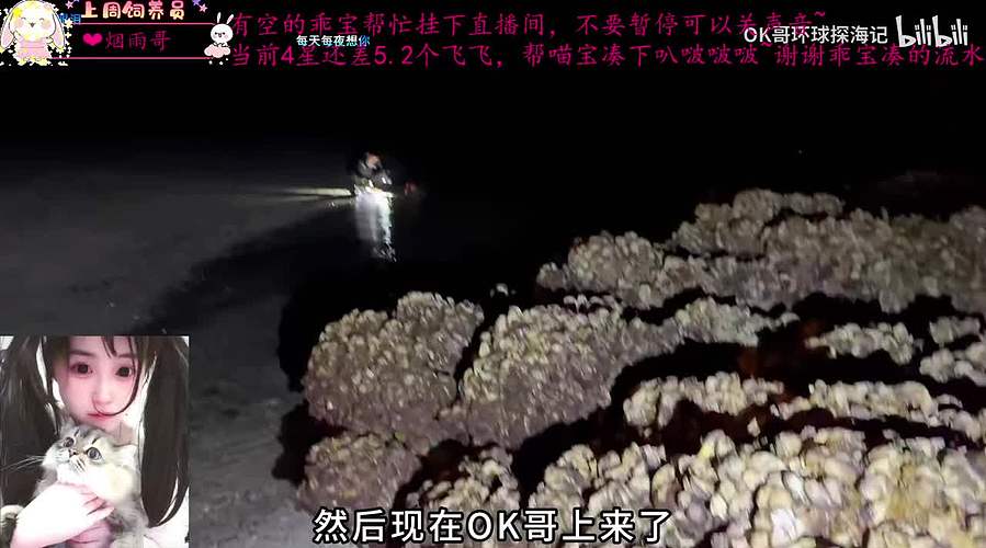 有位，一个打得不错的甜妹儿OvO