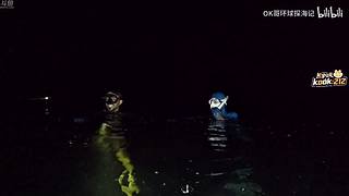 喂,在吗?进来看Show了.