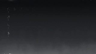 宠物互动，萌宠养成日常