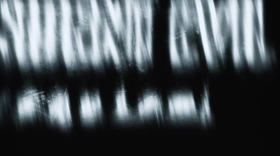 癫狂无继承！！！