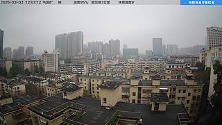 今天中午12点开播