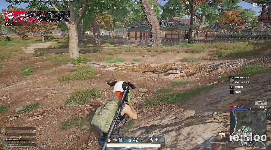 新年新气象！ 11658426