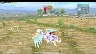 小白求关注 11713801