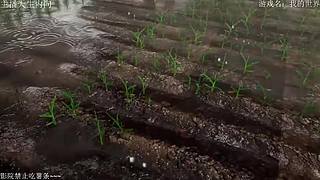 电影级画质，失眠者福音~