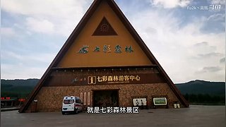 求关注   每天都会更新视频